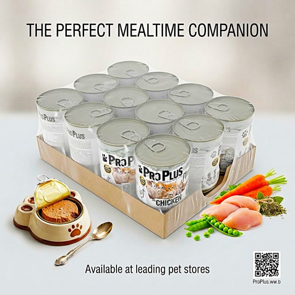 Pro Plus Kitten Premium Grain-Free Chicken Paté Wet Cat Food – 12 Cans × 400g