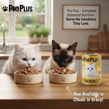 Pro Plus Premium Adult Wet Cat Food Chicken Chunks in Gravy 400g x 12 Cans Complete Balanced Nutrition with Taurine and Essential Vitamins for Adult Cats