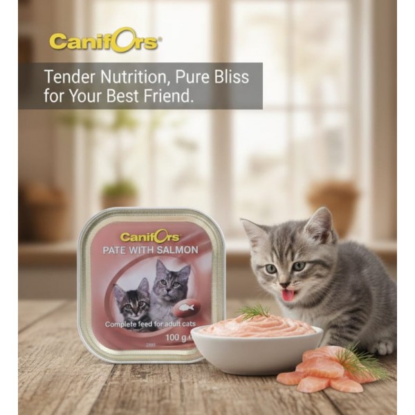 Canifors Pate with Salmon – Complete Wet Cat Food for Adult Cats – 100 g × 16 Trays (1 Box) – High Protein, Vitamins & Minerals, Healthy Skin & Coat, Made in Netherlands