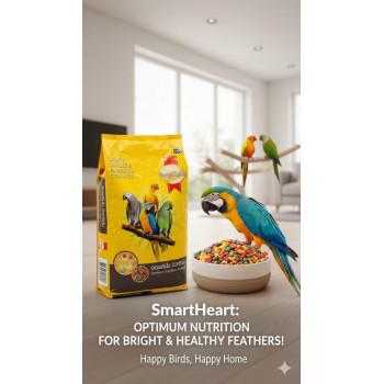 ZuPreem FruitBlend Flavor Bird Food Pellets, 20 kg – Complete & Balanced Daily Nutrition for Parrots, Conures, African Greys, Amazons & Macaws