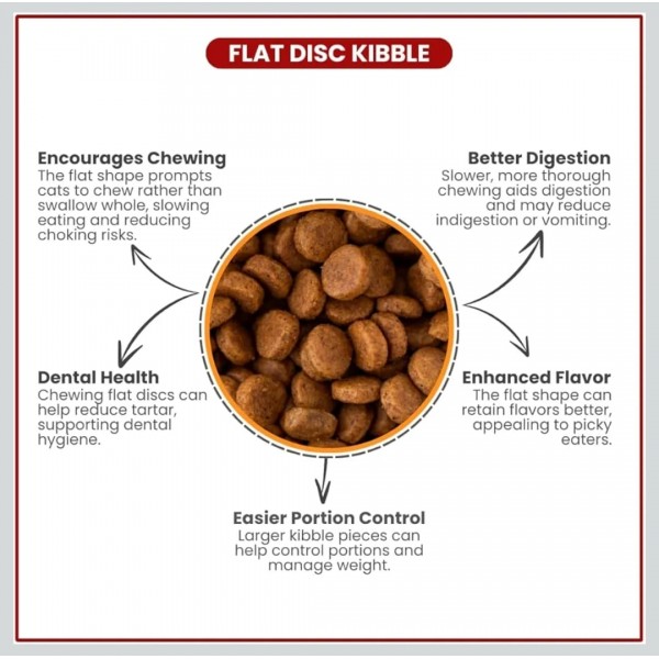 Billi Adult Dry Cat Food, 7kg – Complete & Balanced Nutrition with Omega 3 & 6, Vitamin C, Highly Digestible Formula, Supports Skin, Coat & Urinary Health Billi Adult Dry Cat Food, 7kg – Complete & Balanced Nutrition with Omega 3 & 6, Vitamin C, Highly Digestible Formula, Supports Skin, Coat & Urinary Health