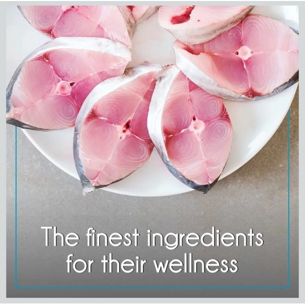 Purepet Ocean Fish Adult Cat Food 3kg – Complete & Balanced Nutrition with Sardine & Mackerel, Taurine, Prebiotics & Probiotics for Healthy Digestion, Skin & Coat Support