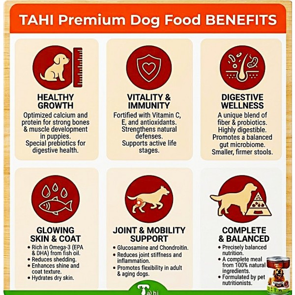 TAHI Premium Wet Dog Food Chunks with Beef in Gravy, 400g Cans, Pack of 12 | Tender Meat Chunks for Dogs | High-Protein Wet Food with Essential Vitamins & Minerals | Complete Daily Nutrition for Dogs