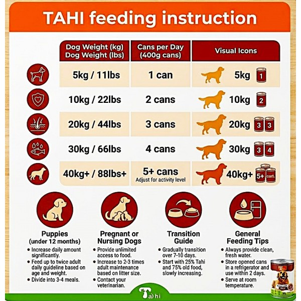 TAHI Premium Wet Dog Food Chunks with Beef in Gravy, 400g Cans, Pack of 12 | Tender Meat Chunks for Dogs | High-Protein Wet Food with Essential Vitamins & Minerals | Complete Daily Nutrition for Dogs