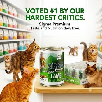 Sigma Premium Adult Cat Food Lamb Chunks in Gravy – 12 x 400g Pack (Complete Wet Food for Adult Cats, High Protein Nutrition)