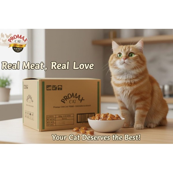 Promax Cat Premium Real Meat Chicken in Gravy – Grain-Free Wet Cat Food, 24 x 400g Cans | Adult Cats