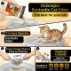 Haisenpet Lemon Scented Bentonite Cat Litter 25L (20KG) – Strong Clumping, High Absorption, Fresh Lemon Fragrance & Odor Control for Cats