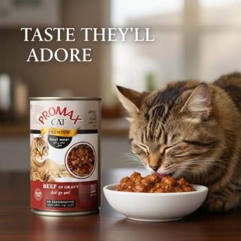 Promax Cat Premium Wet Food – Real Beef in Gravy, Grain-Free, No Preservatives, 400g – Adult Cats