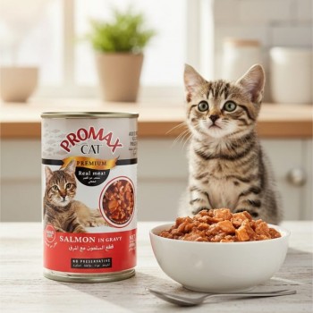 Promax Cat Premium Salmon in Gravy – Real Meat, Grain-Free, No Preservatives – 400g Wet Cat Food for Adult Cats