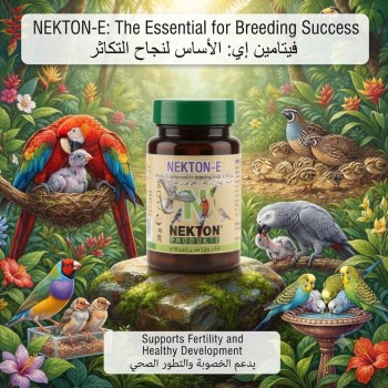 NEKTON-E 35g Vitamin E Supplement for Birds and Reptiles | Breeding & Fertility Support Powder | Water-Soluble Pet Supplement | Made in Germany