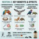 NEKTON-E Vitamin E Supplement for Breeding Birds & Reptiles 140g | Supports Fertility, Reproductive Health & Physical Condition | Water-Dispersible Powder for Parrots, Pigeons, Tortoises, Iguanas & Exotic Pets