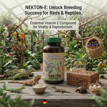 NEKTON-E Vitamin E Supplement for Breeding Birds & Reptiles 140g | Supports Fertility, Reproductive Health & Physical Condition | Water-Dispersible Powder for Parrots, Pigeons, Tortoises, Iguanas & Exotic Pets