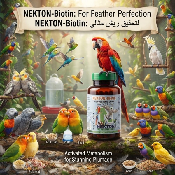 NEKTON-Biotin Bird Feather Growth Supplement Powder 150g | Water-Soluble Vitamin, Amino Acid & Trace Element Supplement for Parrots, Canaries, Finches & Ornamental Birds | Supports Healthy Feather Development During Molting