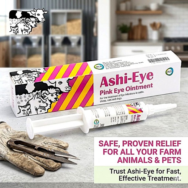 Ashi-Eye Pink Eye Ointment 5g for Cattle, Sheep, Dogs & Cats – Antibiotic and Anti-Inflammatory Veterinary Eye Treatment for Conjunctivitis, Keratitis, Corneal Ulcers and Eye Infections