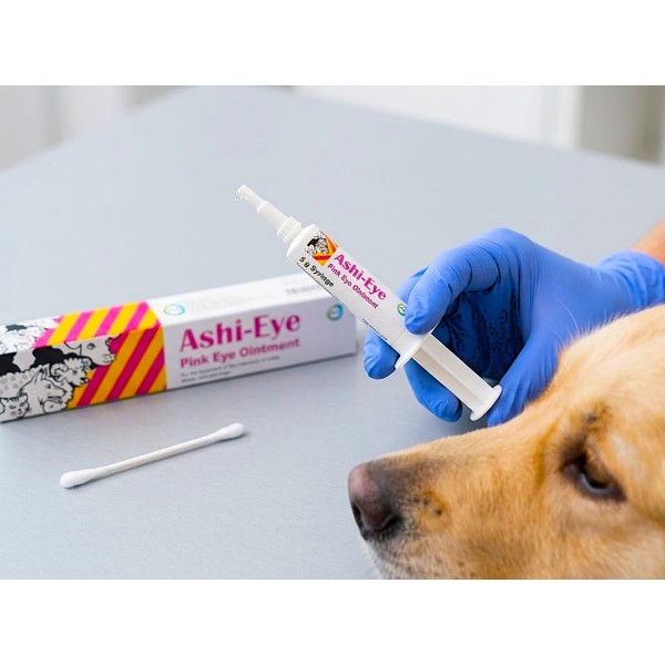 Ashi-Eye Pink Eye Ointment 5g for Cattle, Sheep, Dogs & Cats – Antibiotic and Anti-Inflammatory Veterinary Eye Treatment for Conjunctivitis, Keratitis, Corneal Ulcers and Eye Infections