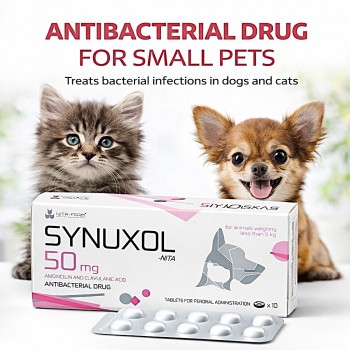 Synuxol-Nita 50mg Antibacterial Tablets for Cats & Small Dogs (10 Tablets) | Amoxicillin & Clavulanic Acid Veterinary Antibiotic | Treats Skin Infections, UTI & Respiratory Diseases | For Pets Under 5kg