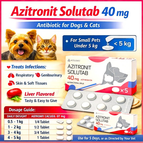 Azitronit Solutab 40 mg Azithromycin Tablets for Cats & Dogs Under 5 kg | Veterinary Antibiotic for Respiratory, Skin & Urinary Infections | Oral Liver-Flavored Dispersible Tablets