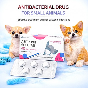 Azitronit Solutab 40 mg Azithromycin Tablets for Cats & Dogs Under 5 kg | Veterinary Antibiotic for Respiratory, Skin & Urinary Infections | Oral Liver-Flavored Dispersible Tablets