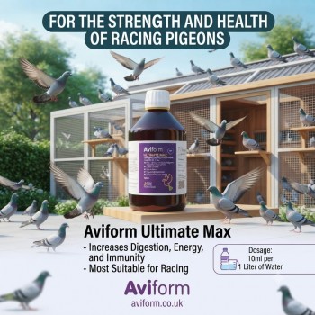 Aviform Ultimate Max 500ml | Next Generation Total Health Supplement for Racing Pigeons | Immune & Performance Support Formula