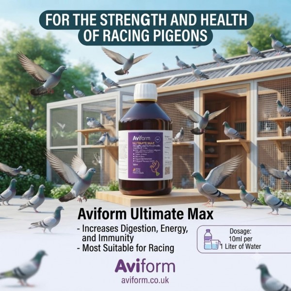 Aviform Ultimate Max 500ml | Next Generation Total Health Supplement for Racing Pigeons | Immune & Performance Support Formula