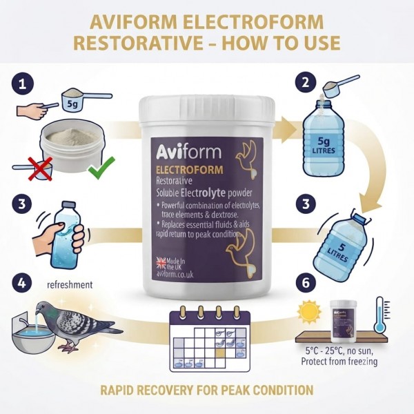 Aviform Electroform 500g Electrolyte Powder for Racing Pigeons | Rapid Recovery, Hydration & Energy Support After Racing & Training for Peak Performance & Condition