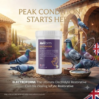 Aviform Electroform 500g Electrolyte Powder for Racing Pigeons | Rapid Recovery, Hydration & Energy Support After Racing & Training for Peak Performance & Condition