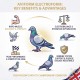 Aviform Electroform 500g Electrolyte Powder for Racing Pigeons | Rapid Recovery, Hydration & Energy Support After Racing & Training for Peak Performance & Condition Aviform Electroform 500g Electrolyte Powder for Racing Pigeons | Rapid Recovery, Hydration & Energy Support After Racing & Training for Peak Performance & Condition