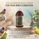 Aviform Avigold Advance 250ml Liquid Bird Tonic | All-in-One Multivitamin Supplement for Cage & Aviary Birds | Supports Digestion, Hydration & Overall Health | Made in UK