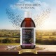 Aviform RAPIDE ForteX4 Racing Pigeon Supplement 250ml | 4X Concentrated Performance, Recovery & Immunity Formula | With Betaine, L-Carnitine & Vitamin B12 | UK Made Liquid Feed Additive for Racing Pigeons