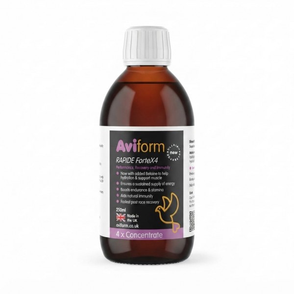 Aviform RAPIDE ForteX4 Racing Pigeon Supplement 250ml | 4X Concentrated Performance, Recovery & Immunity Formula | With Betaine, L-Carnitine & Vitamin B12 | UK Made Liquid Feed Additive for Racing Pigeons Aviform RAPIDE ForteX4 Racing Pigeon Supplement 250ml | 4X Concentrated Performance, Recovery & Immunity Formula | With Betaine, L-Carnitine & Vitamin B12 | UK Made Liquid Feed Additive for Racing Pigeons