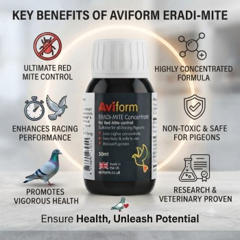 Aviform ERADI-MITE Concentrate 50ml – Red Mite Control for Racing Pigeons – Non-Toxic Water Additive Supplement – UK Formula Loft Health Treatment for Racing Birds