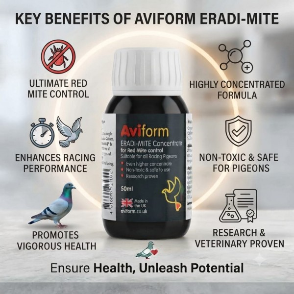 Aviform ERADI-MITE Concentrate 50ml – Red Mite Control for Racing Pigeons – Non-Toxic Water Additive Supplement – UK Formula Loft Health Treatment for Racing Birds