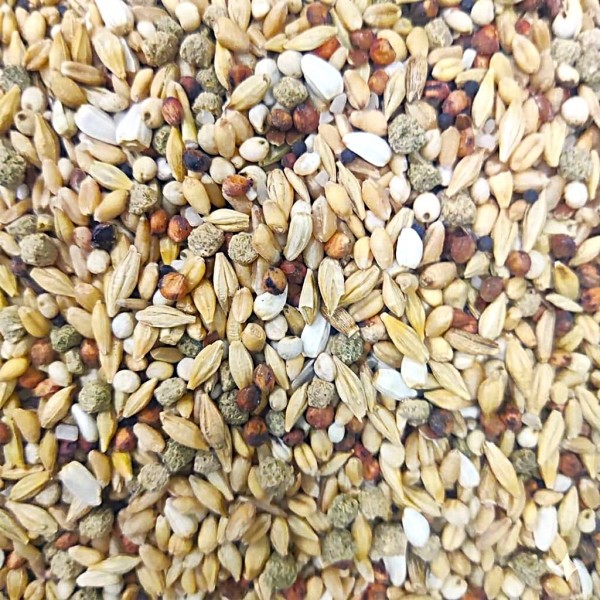 Versele-Laga Plus I.C.+ Depure Complete Pigeon Food 20kg | Premium Low Protein Low Fat Grain Mixture for Pigeons | With Immunity Concept+ Pellets, Vitamins, Minerals & Prebiotics | Ideal for Rest, Moulting & Light Training | Dust-Free Bird Feed