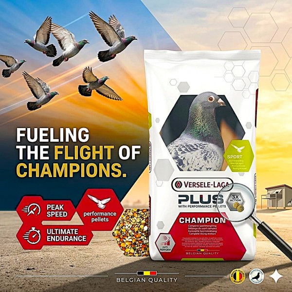 Versele-Laga Plus IC Champion Racing Pigeon Feed 20kg | Sport Energy Mixture with Performance Pellets, Lecithin & L-Carnitine | Pre-Flight & Recovery Nutrition for Racing Pigeon