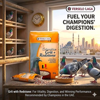 Versele-Laga Versele-Laga Colombine Grit + Redstone for Pigeons 20 kg – Premium Mineral Grit Supplement for Digestion, Calcium & Gut Health – Racing & Breeding Pigeon Feed with Oyster Shell & Aniseed