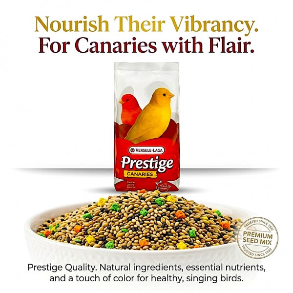 Versele-Laga Prestige Canaries 20kg Premium Canary Seed Mix Bird Food for Canaries Complete Daily Nutrition with Seeds Vitamins Minerals Amino Acids Supports Digestion Feather Condition Vitality Singing Performance