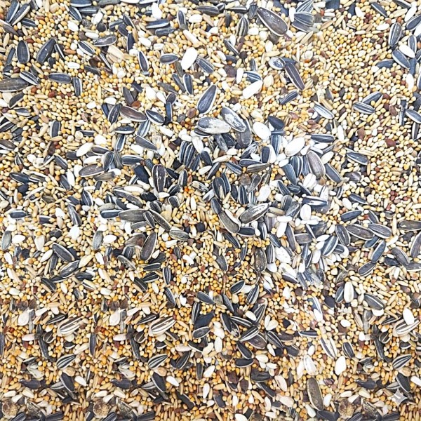 Versele-Laga Prestige Big Parakeets Standard-Expert 20 kg – Complete Premium Bird Feed for Large Parakeets, Agapornids & Neophemas | All-Round Mixture with Sunflower Seeds | Supports Health, Growth & Breeding