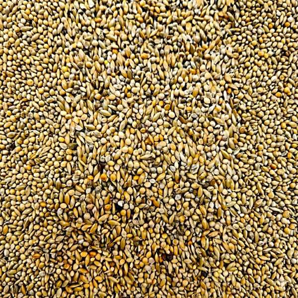 Versele-Laga Prestige Budgies Bird Food 20KG – Premium Budgie Seed Mix, High Protein Natural Parakeet Food with VAM Vitamins & Minerals, Canary Seed & Millet Blend