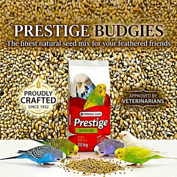 Versele-Laga Prestige Budgies Bird Food 20KG – Premium Budgie Seed Mix, High Protein Natural Parakeet Food with VAM Vitamins & Minerals, Canary Seed & Millet Blend