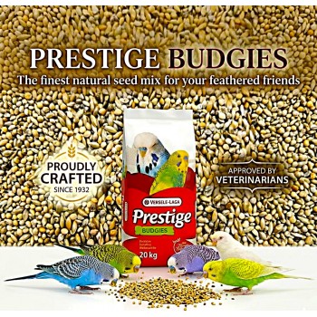 Versele-Laga Prestige Budgies Bird Food 20KG – Premium Budgie Seed Mix, High Protein Natural Parakeet Food with VAM Vitamins & Minerals, Canary Seed & Millet Blend
