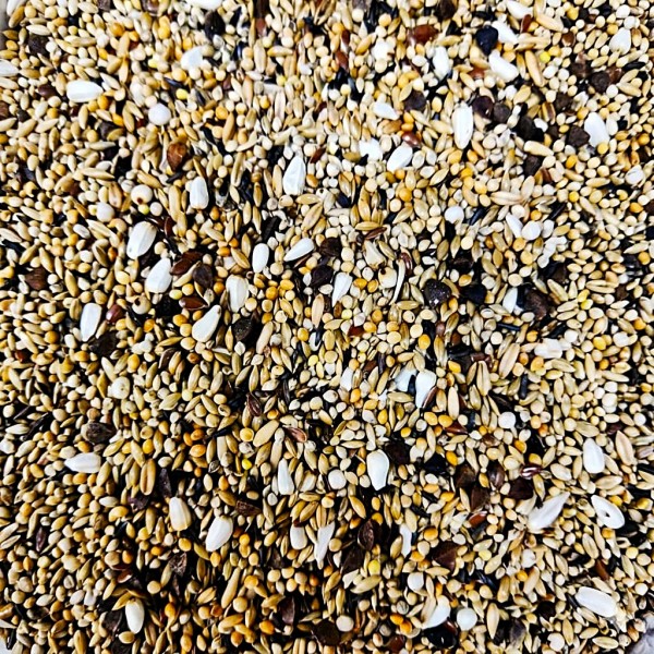 Versele-Laga Prestige Big Parakeets Forpus Parrotlets 20 kg – Complete Premium Bird Feed for Large Parakeets, Agapornids, Neophemas & Small Parrots | Supports Growth, Health, Breeding & Feather Condition | Natural Seeds, No Artificial Additives