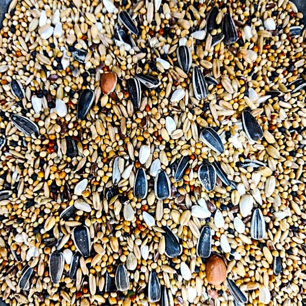 Versele-Laga Prestige Cockatiels-Expert Grandes Perruches 20 kg – Premium Bird Food for Large Parakeets, Cockatiels, Lovebirds & Neophemas – Complete Seed Blend for Daily Feeding, Breeding, Healthy Growth & Vibrant Feathers