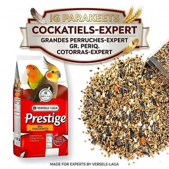 Versele-Laga Prestige Cockatiels-Expert Grandes Perruches 20 kg – Premium Bird Food for Large Parakeets, Cockatiels, Lovebirds & Neophemas – Complete Seed Blend for Daily Feeding, Breeding, Healthy Growth & Vibrant Feathers