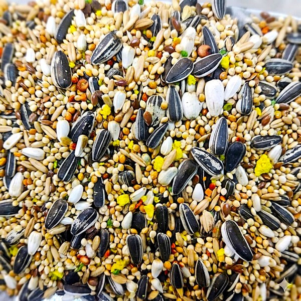 Versele-Laga Prestige Big Parakeets Gourmet Bird Food 20kg – Premium Seed Mix for Large Parakeets, Lovebirds & Neophemas | Vitamin-Enriched Complete Nutrition | 100% Natural Seeds & Grains