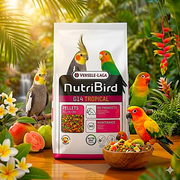 Versele-Laga NutriBird G14 Tropical Parrot Food 10 kg Complete Maintenance Pellets for Large Parakeets and Parrots Balanced Nutrition with Grains Peanuts and Fruit Supports Digestion Feather Health Strong Bones Veterinarian Recommended Diet