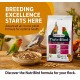 Versele-Laga NutriBird P18 Original 10KG Bird Food – Extruded Pellets for Large Parakeets & Parrots, Complete Breeding Formula, High Protein & Calcium Diet, Opti Digest Prebiotics, Opti Feather Support, Balanced Nutrition, Vet Recommended