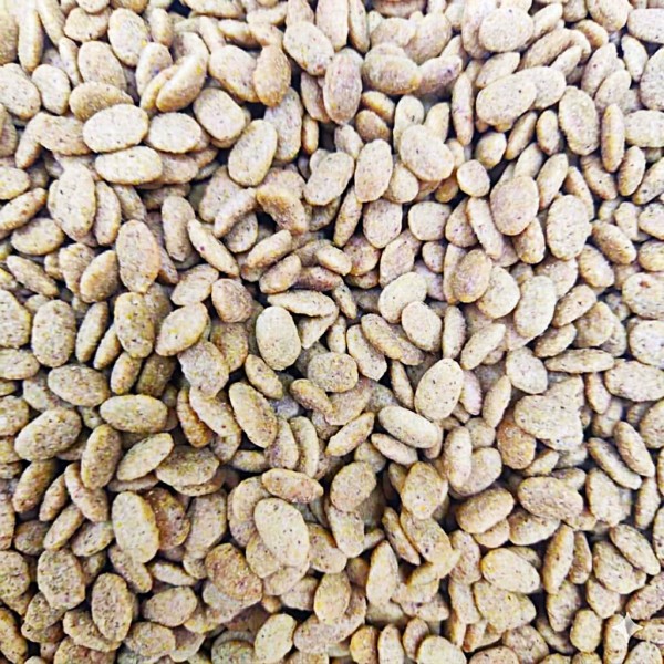 Versele-Laga NutriBird P19 Original 10KG – Extruded Breeding Pellets for Large Parrots – Complete All-in-One Nutrition for Breeding, Maintenance & Feather Health – Supports Digestion & Prevents Selective Feeding