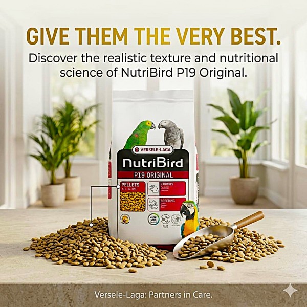 Versele-Laga NutriBird P19 Original 10KG – Extruded Breeding Pellets for Large Parrots – Complete All-in-One Nutrition for Breeding, Maintenance & Feather Health – Supports Digestion & Prevents Selective Feeding