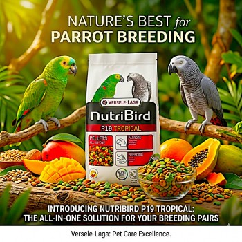 Versele-Laga NutriBird P19 Tropical Parrot Breeding Pellets 10KG – Complete Extruded Parrot Food – Supports Breeding, Digestion, Feather Health & Immunity – For Macaws & African Grey