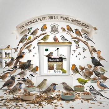Versele-Laga NutriBird Insect Patee Premium 2kg | Complete Soft Food with 50%+ Animal Protein for Insect-Eating Birds | Nutrition Supplement for Wild Birds, Songbirds & Breeding Birds